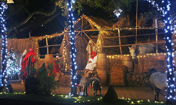 nativity_horizontal121015