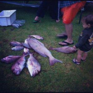 people of the sea fishes