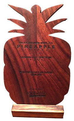pineapple_award9-16