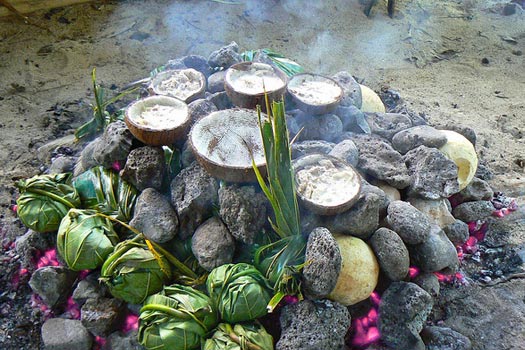 Photo courtesy of polynesianxplorer.com