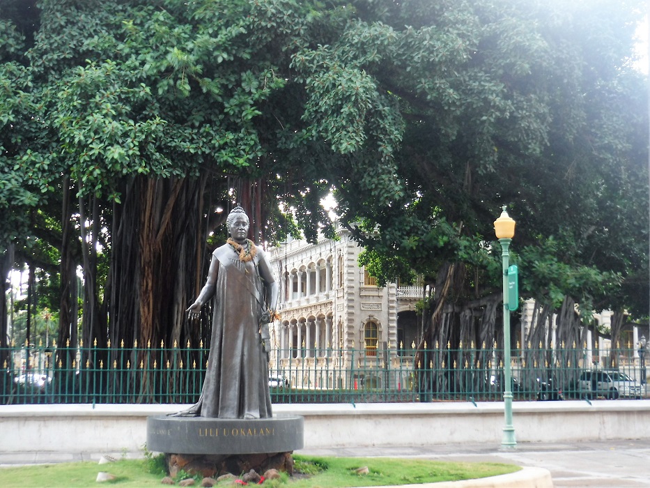 Banyan Trees at Iolani Palace