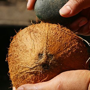 coconut3