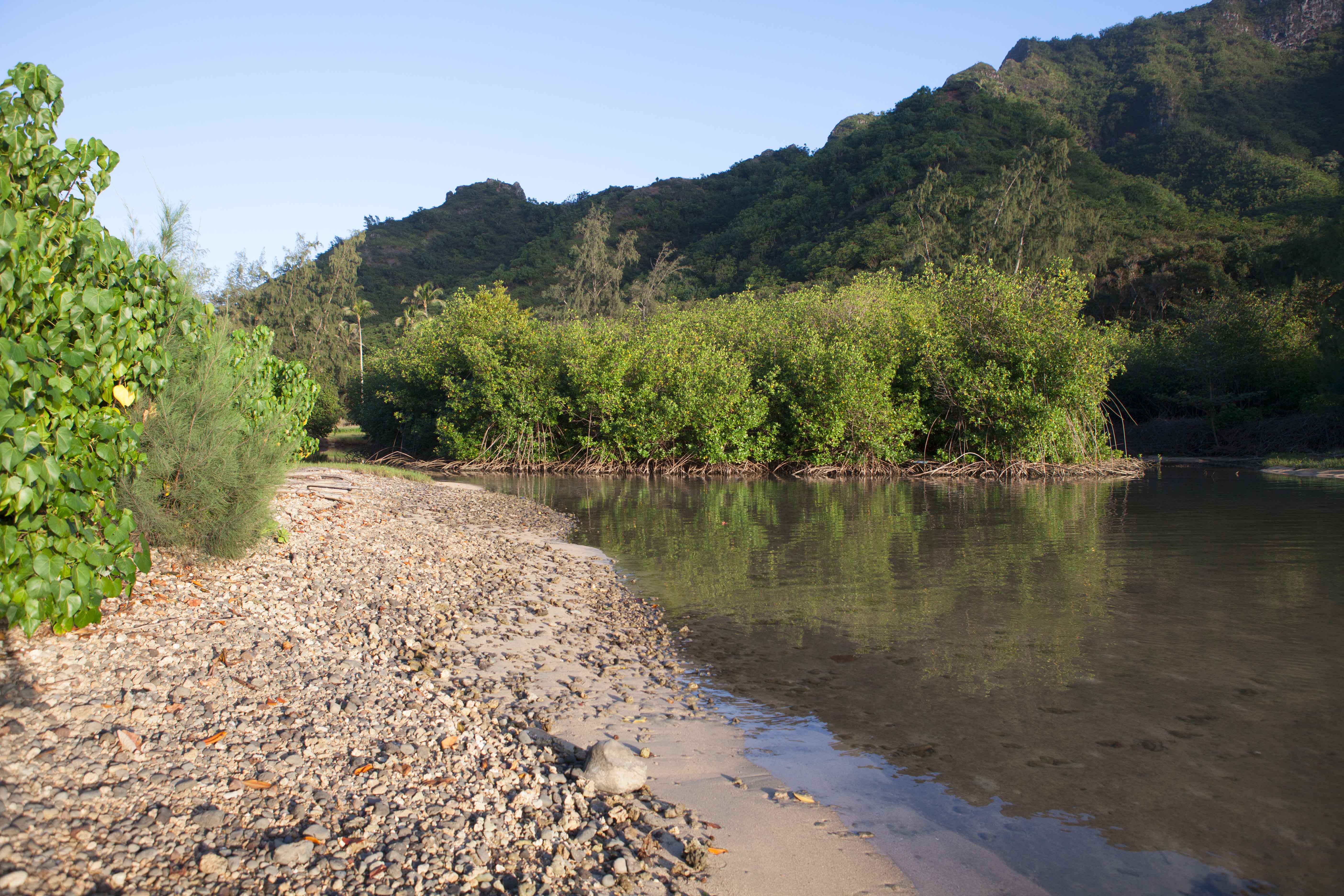 Photo of southeast edge of the Huilua Fishpond