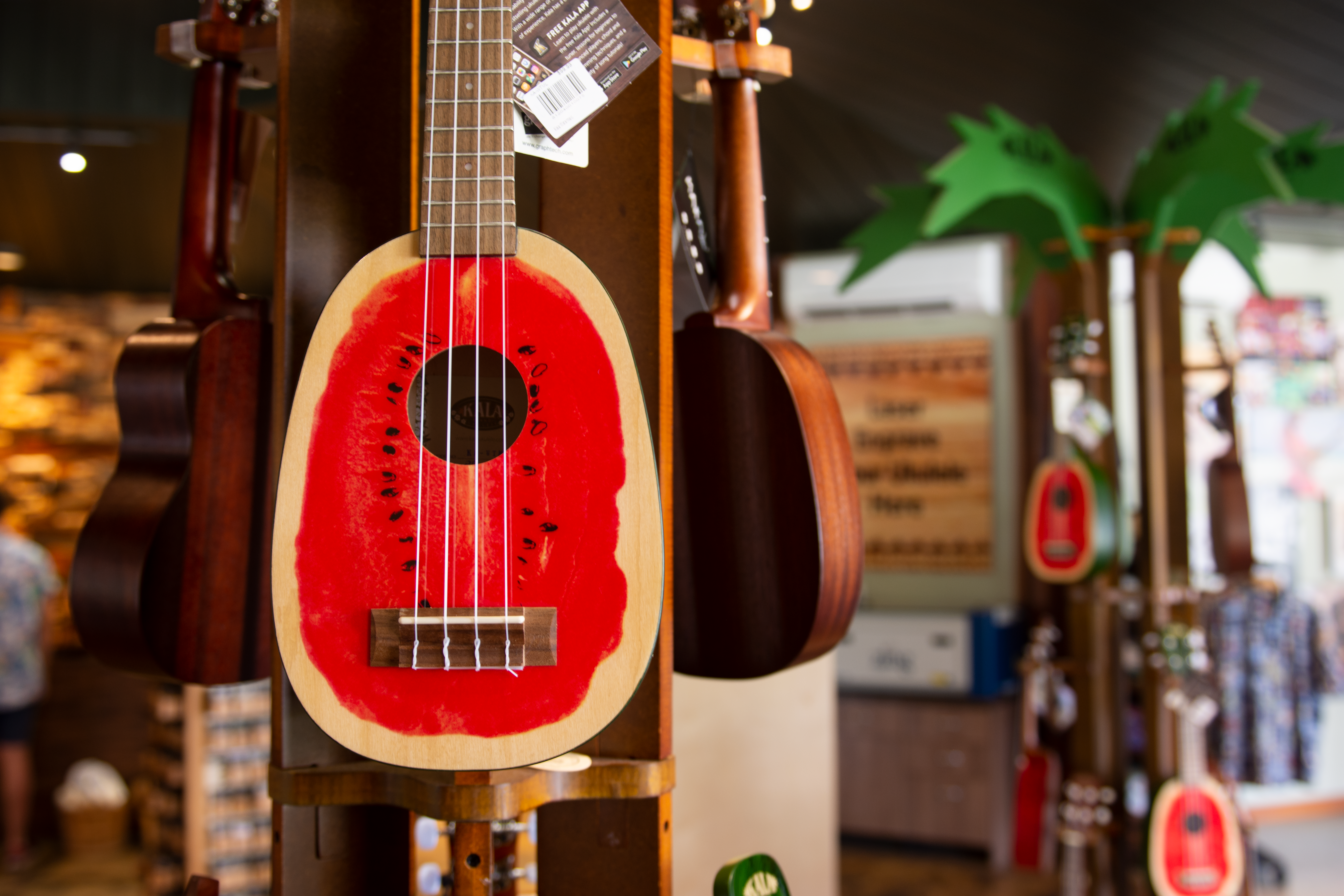 Choosing a ukulele? Here’s what you need to know