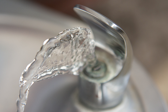 Water from a drinking fountain