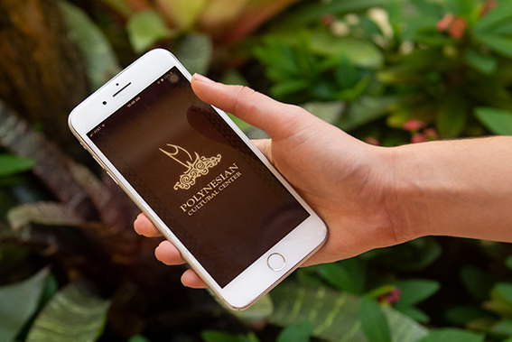 PCC app opening on phone