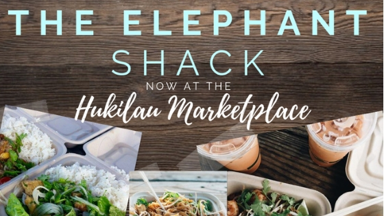 The Elephant Shack