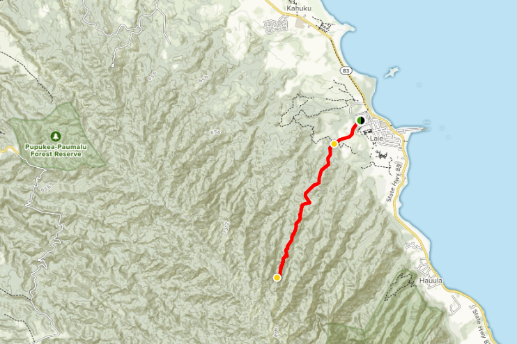 Map of La'ie Falls trail courtesy of AllTrails