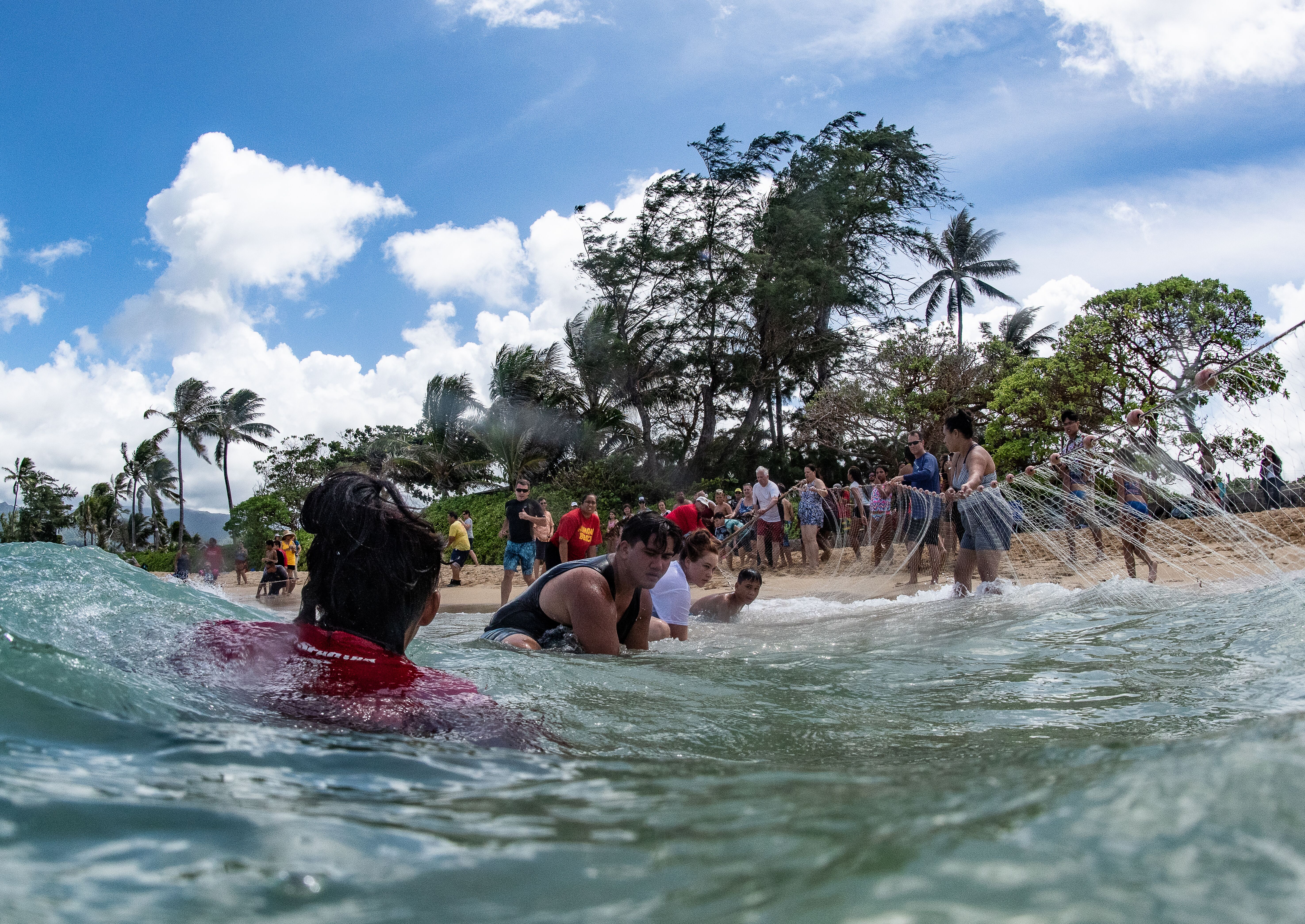 Laie's own Hula Halau O Kekela, led by kumu Kekela Miller (center, front row), frequently support Polynesian Cultural Center and local community activities.