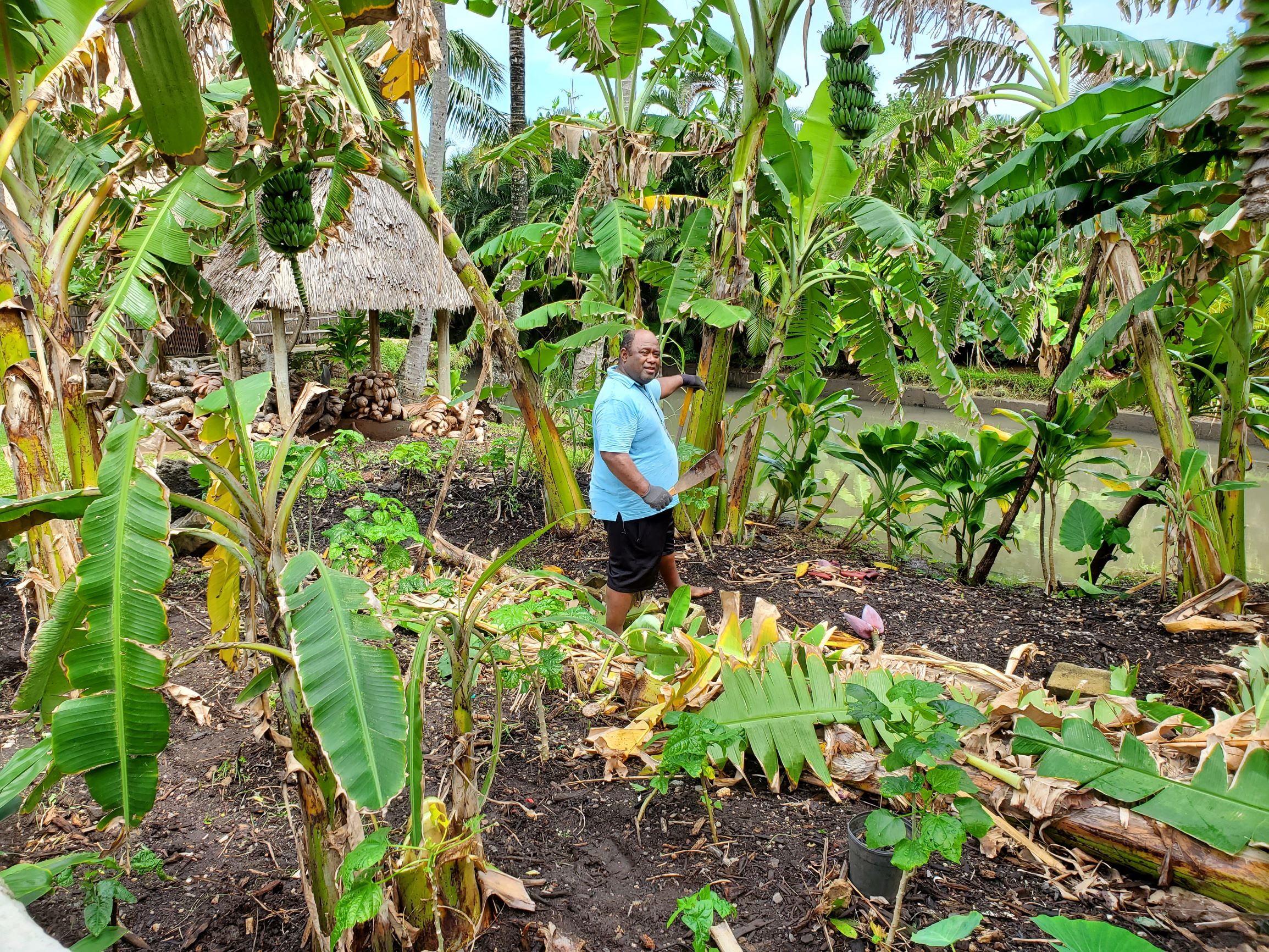 The Polynesian Cultural Center leads the way in uncertain times