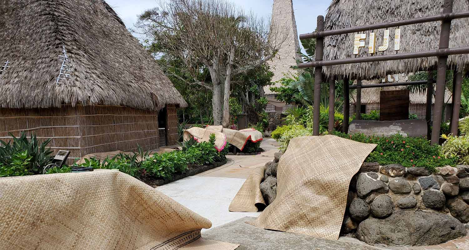 Island of Fiji at the PCC