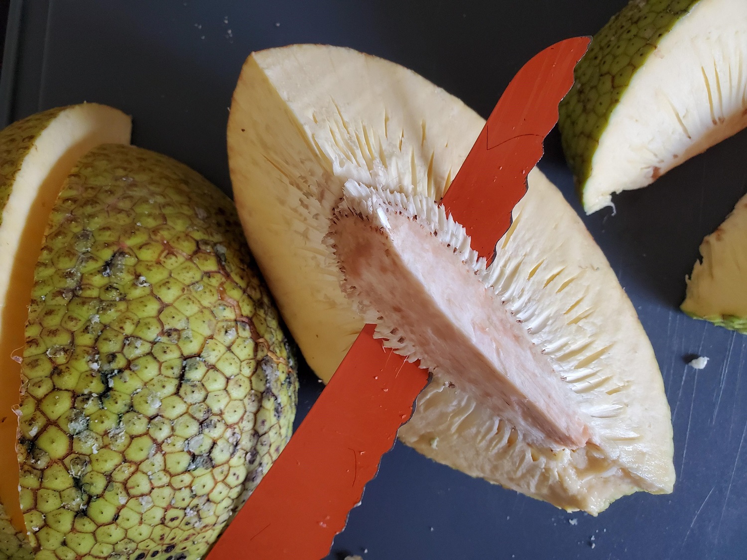 photo of ulu core being removed