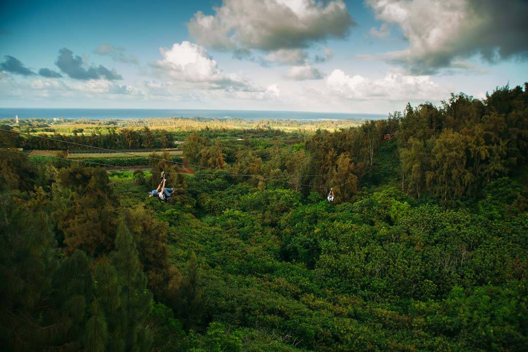 image shows two people in the distance attached to metal ziplines as they zoom down towards an ocean view