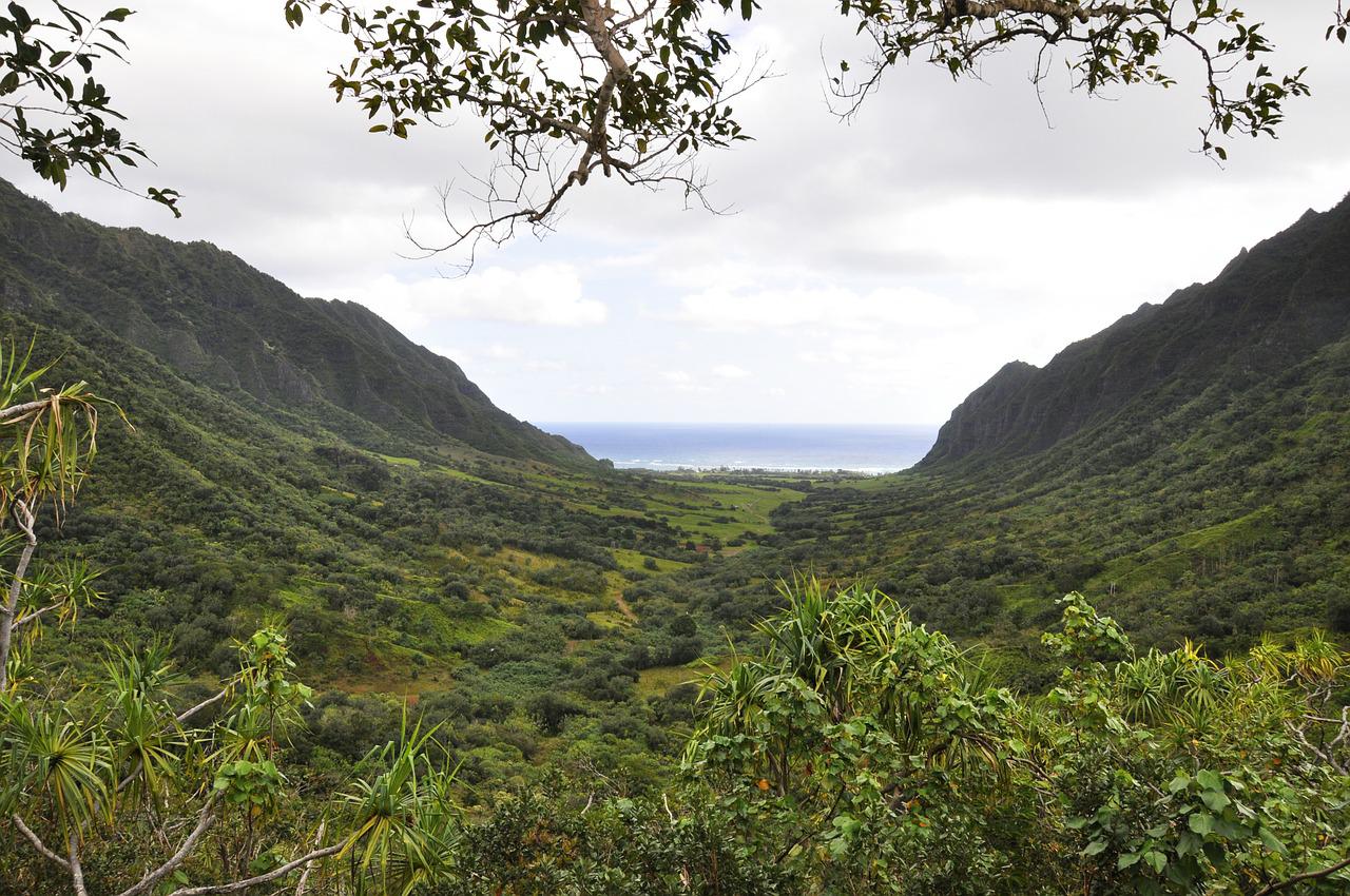photo of Kualoa Ranch beautiful landscape. One of the 5 things to do with your children. 