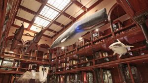 image of Hawaii Hall at the Bishop Museum. One of the great cultural experiences to participate in on Oʻahu.