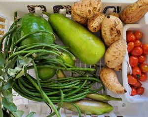 image of green beens, pepper, and Okinawan potatoes