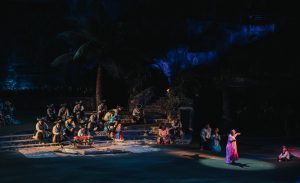 Full view of luau food and grandmother dancing hula