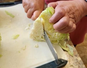cutting up cabbage