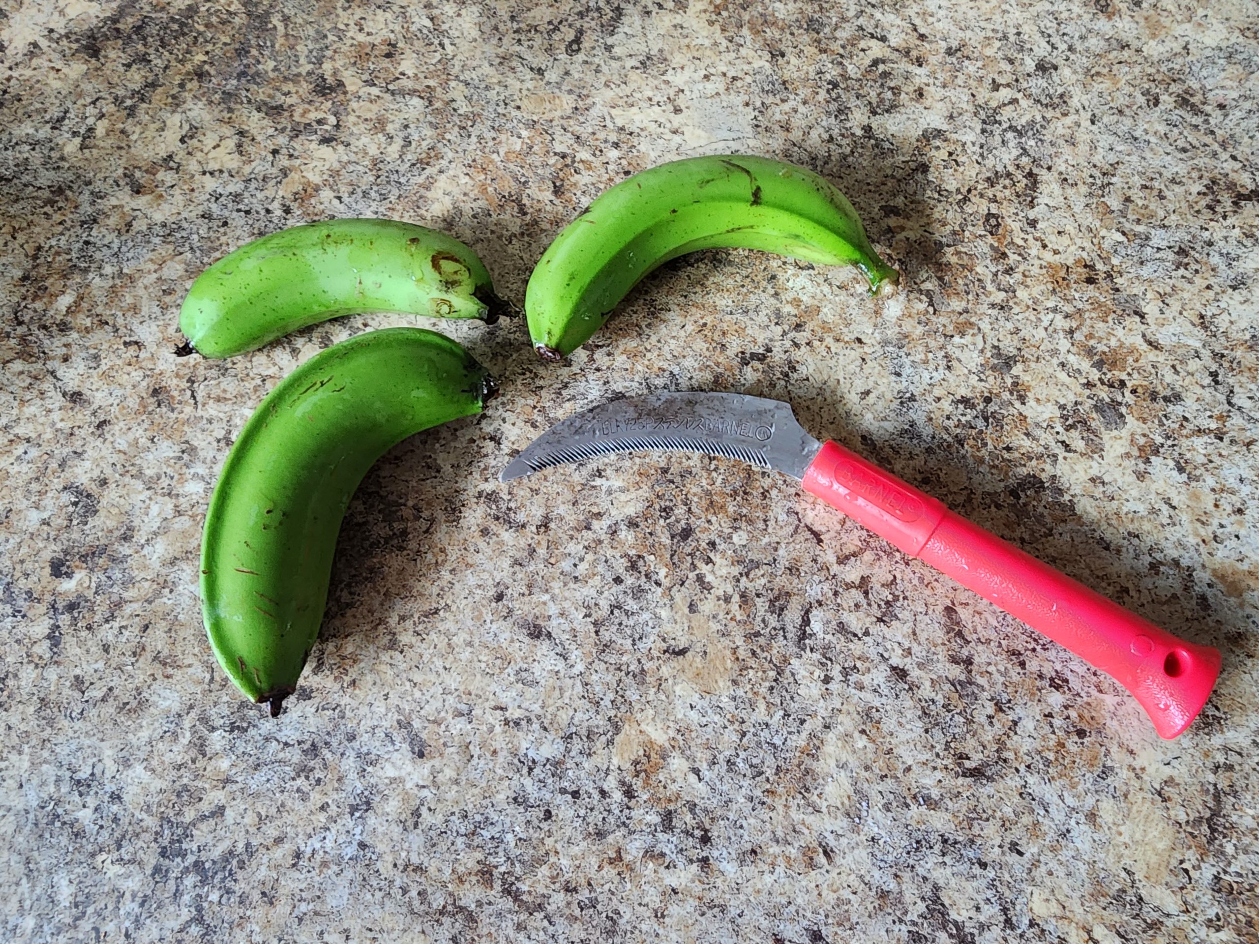 Image of green bananas