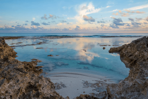 Cook Islands Atiu Coral Rock and Beach
