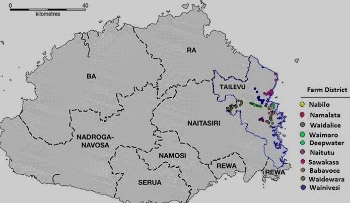 Province of Talilevu 
